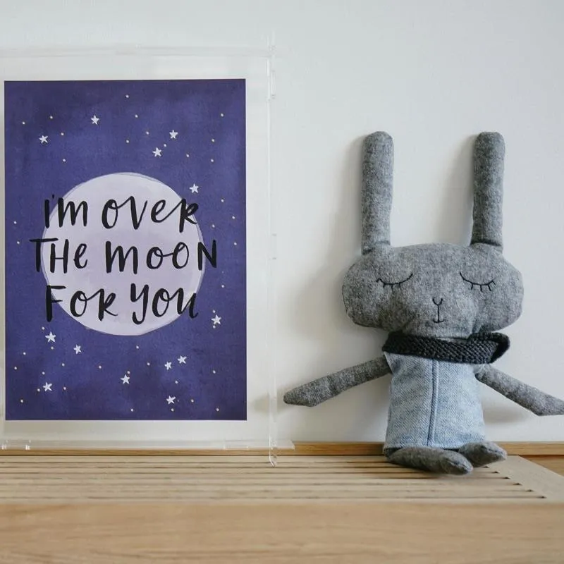 Lloyd The Rabbit - 35 cm Softie - and the little dog laughed